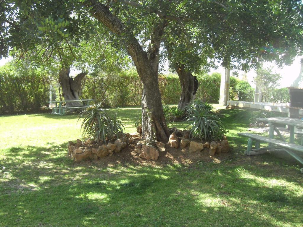 Tavira Garden Daire Dış mekan fotoğraf