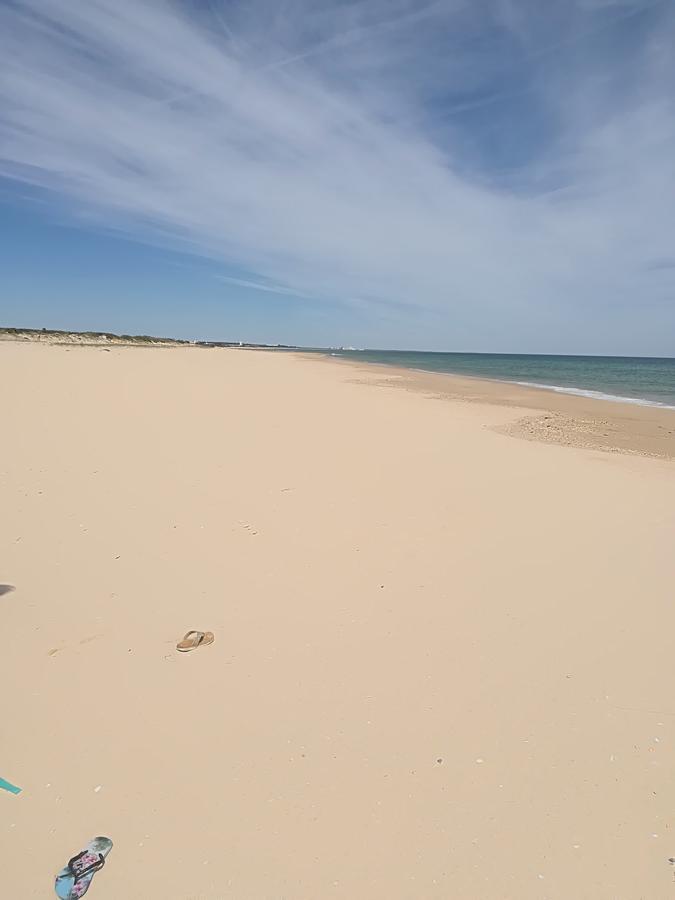 Tavira Garden Daire Dış mekan fotoğraf
