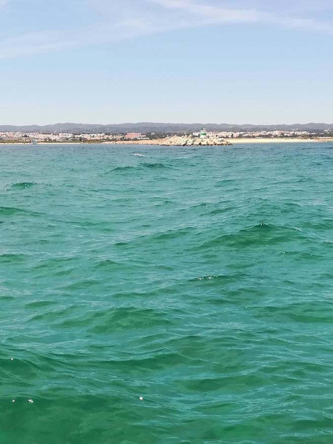 Tavira Garden Daire Dış mekan fotoğraf